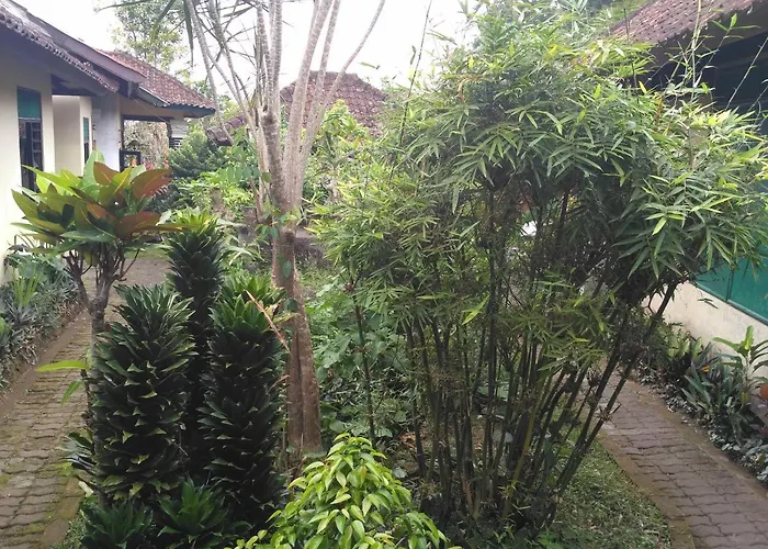 Dhangin Taman بيت ريفي *