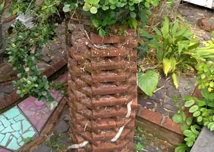 Dhangin Taman *